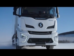EuroV SHACMAN X3000 CNG کامپران 6x4 10 چرخ 430HP موتور WEICHAI